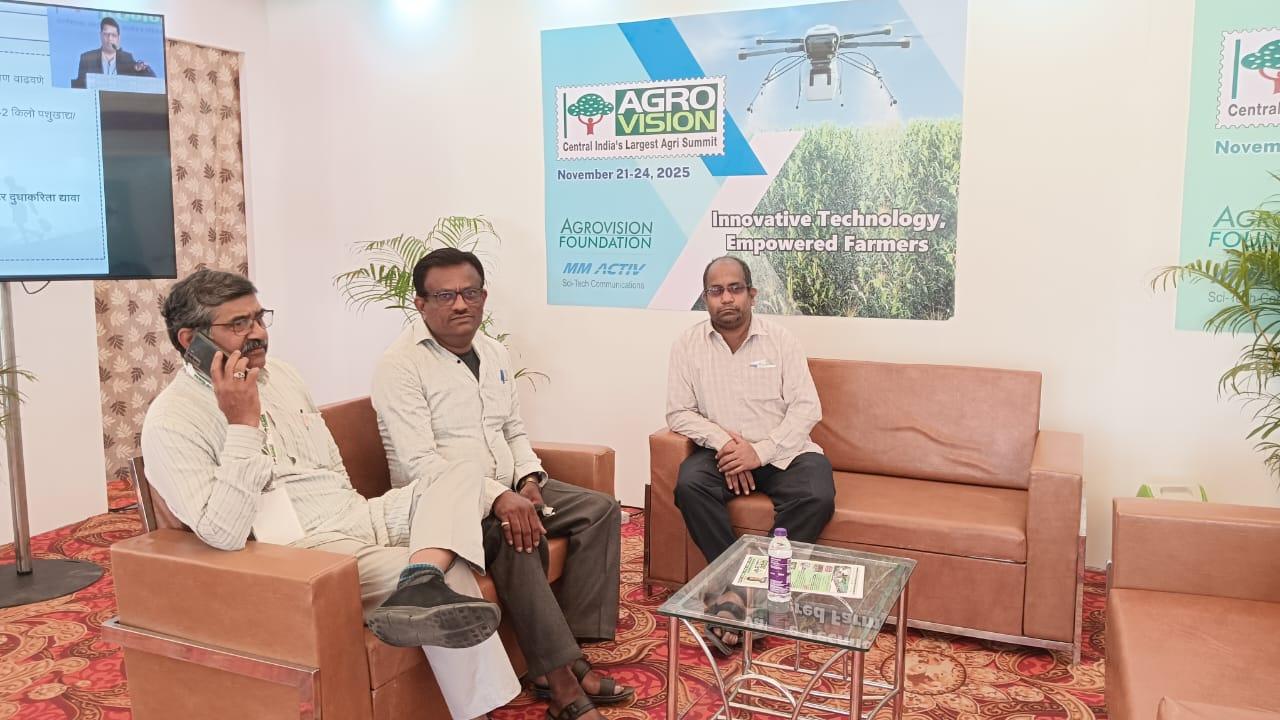 जीवनातील आधार आणि स्वातंत्र्याचा संघर्ष