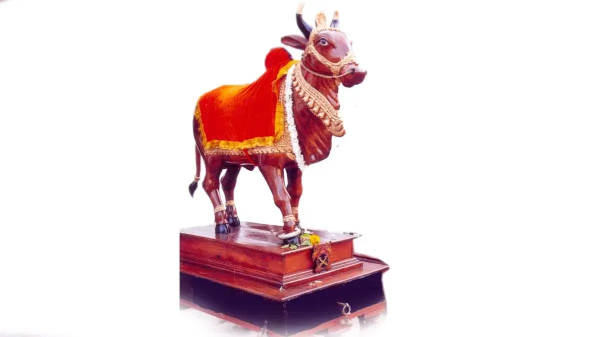 श्रद्धानंद पेठेत तान्हा पोळा साजरा होणार !