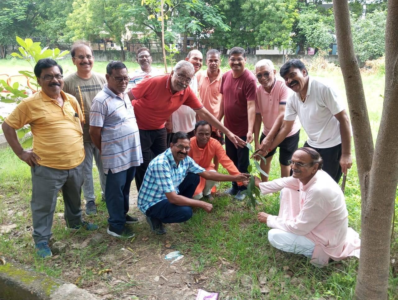 रक्षाबंधन निमित्त वृक्ष रोपण कार्यक्रम