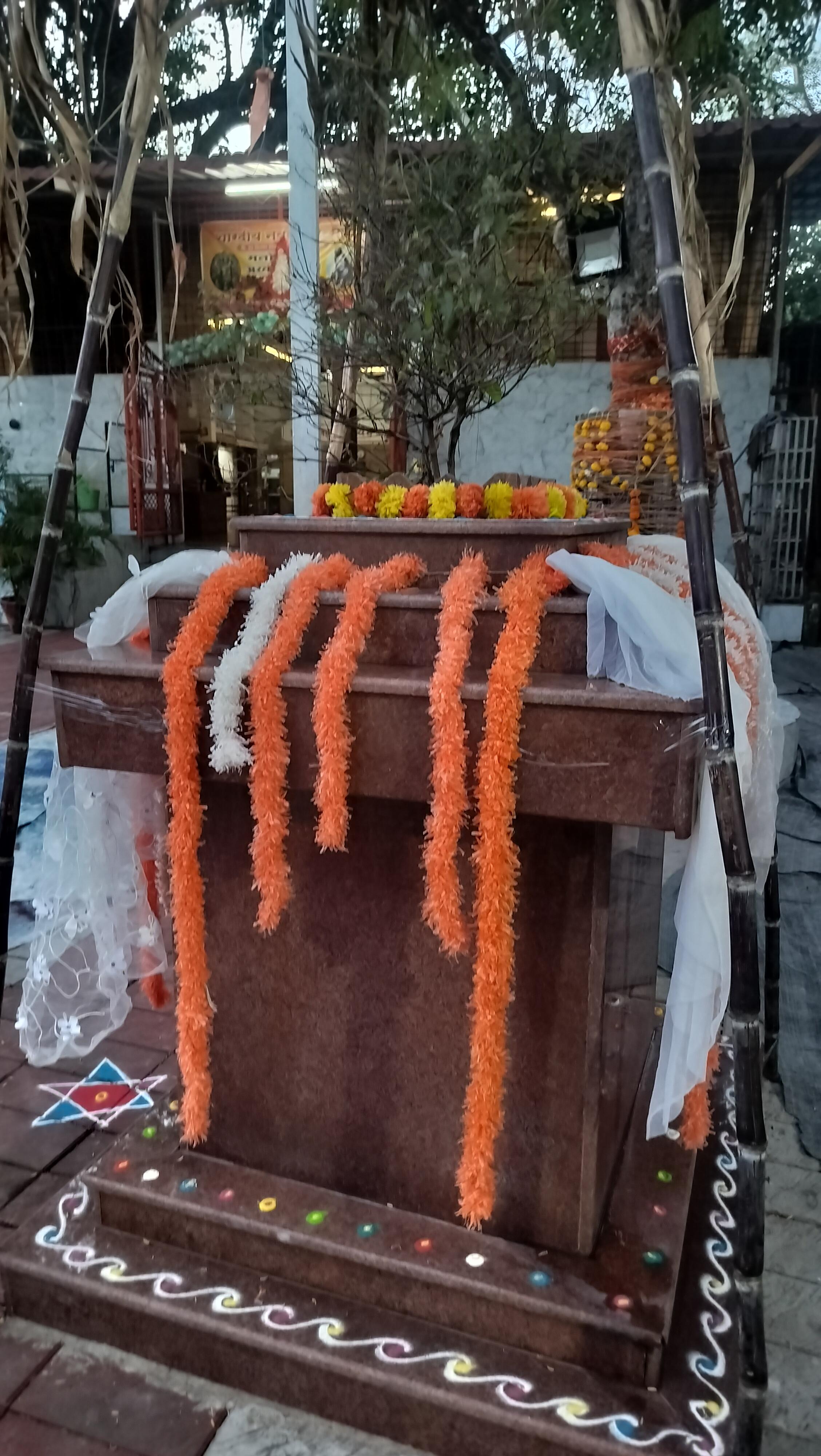 विदर्भातील सर्वात मोठं तुळशीचं वृंदावन बेलिशॉप मंदिरात