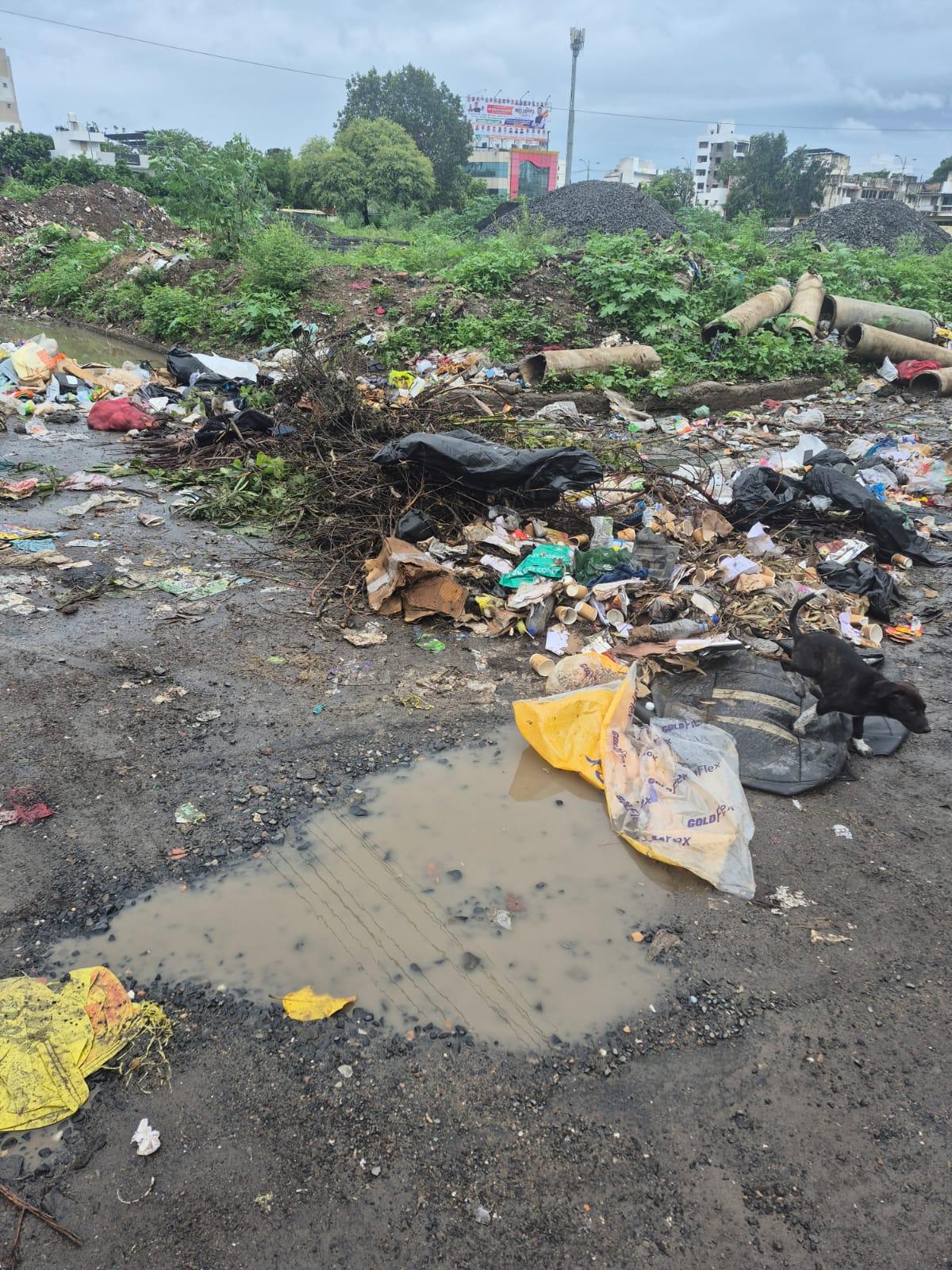 दीनदयाल नगरमध्ये कचरा-चिखलाने आरोग्याचा प्रश्न गंभीर