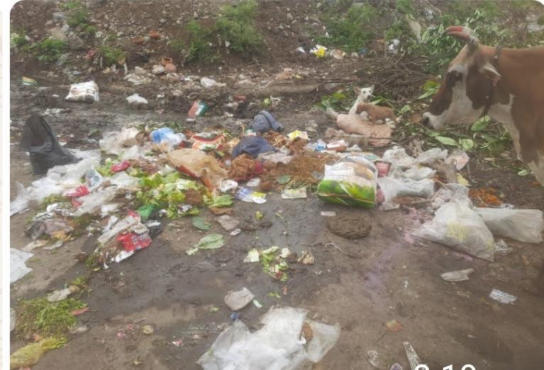 भटके कुत्र्यांचा त्रास: दीनदयाल नगरातील उपाययोजना