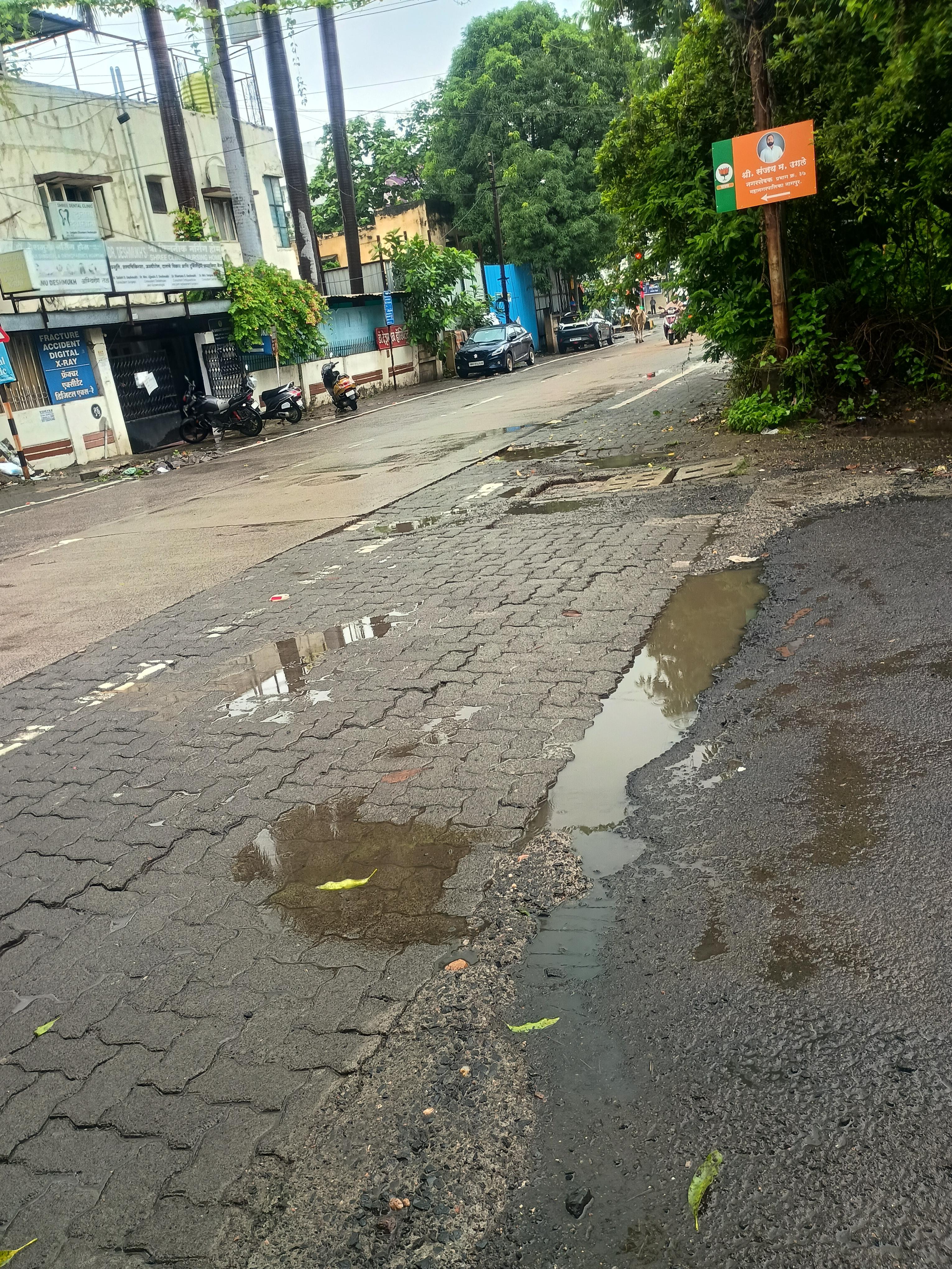 गोपाल नगरातील खड्ड्याकडे दुर्लक्ष...